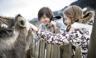 Petting zoo in winter