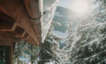 Chalet di lusso inverno